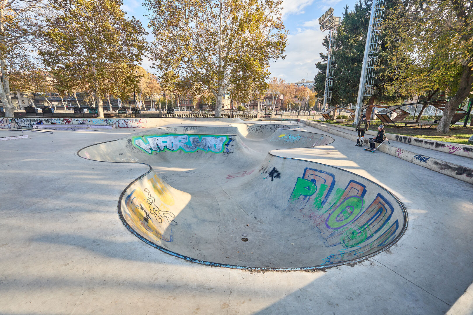 Dedaena Skatepark big image